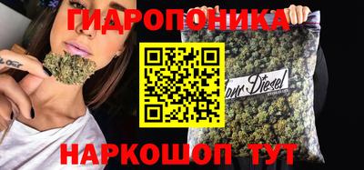 скорость Кандалакша