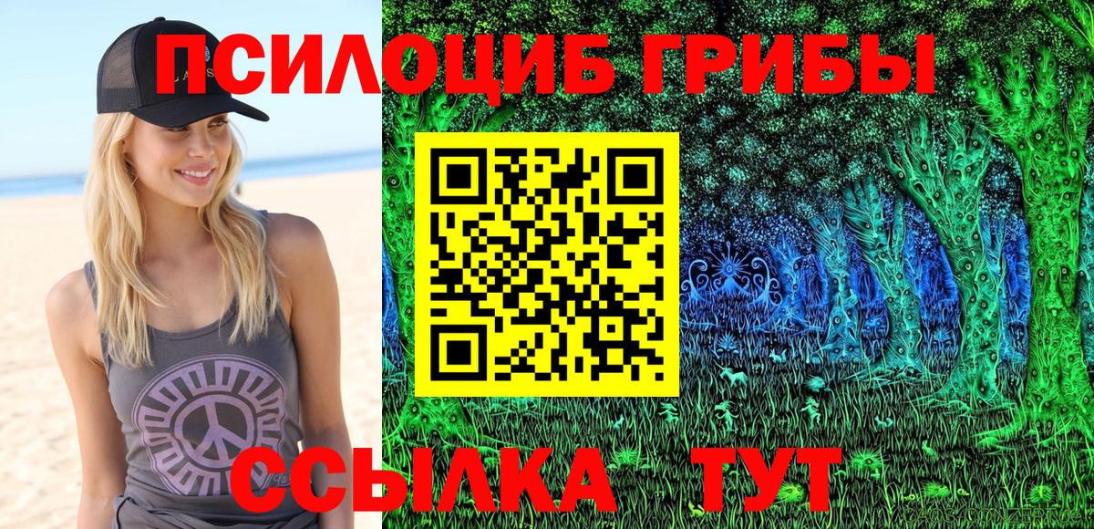 Кыштым  Галлюциногенные грибы Psilocybine cubensis  Вход с VPN 