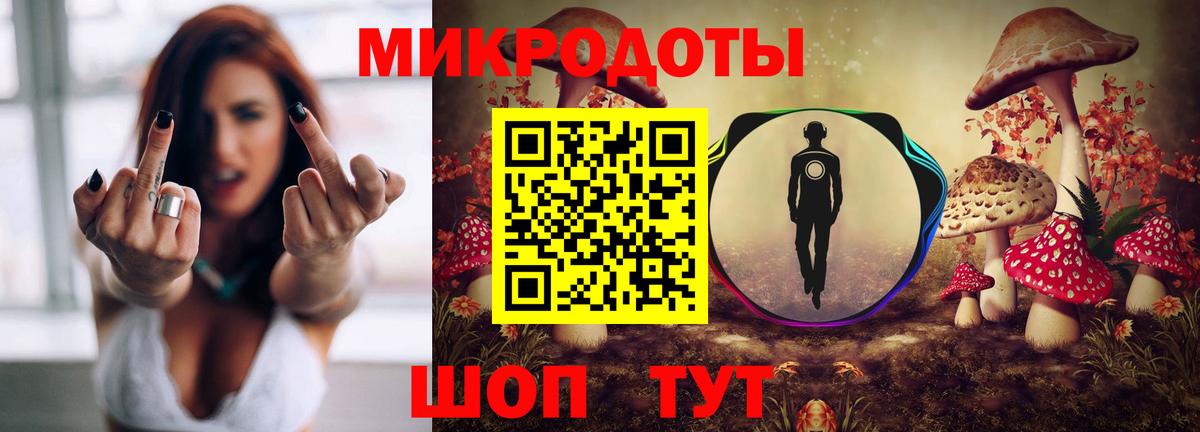 Псилоцибиновые грибы Psilocybine cubensis Кыштым
