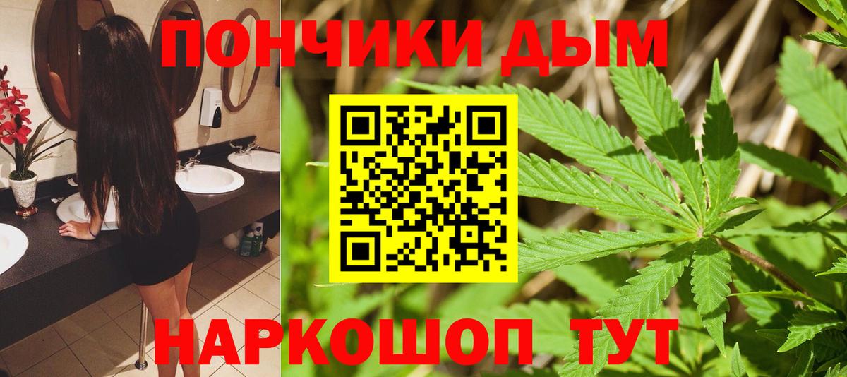 Бошки Шишки индика Кыштым